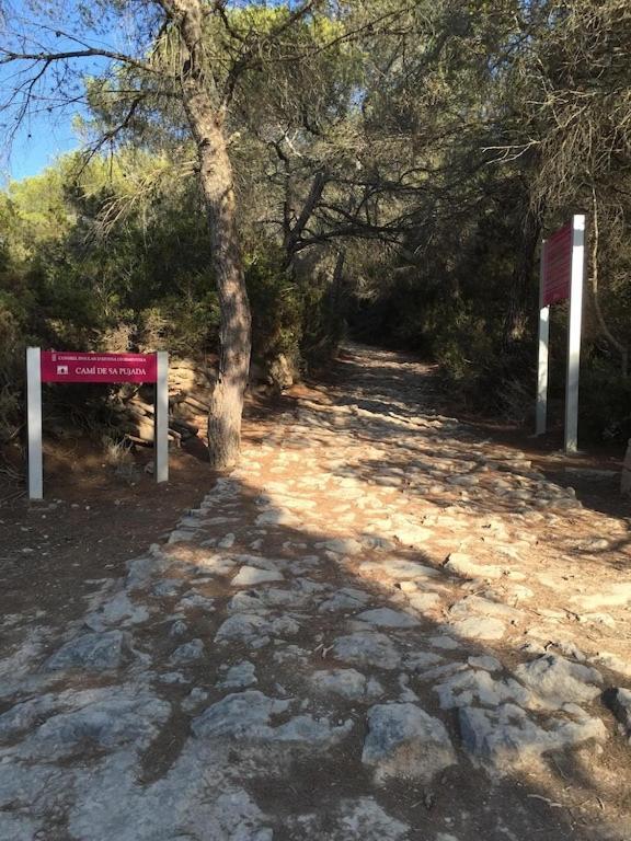 Apartmán La Mundial Formentera Es Pujols Exteriér fotografie